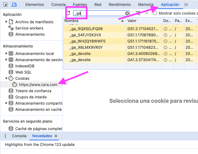 cookies en chrome dev tools